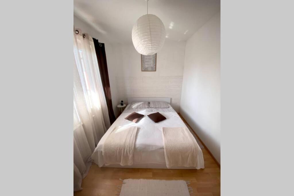 Cozy Apartamento